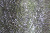 Torvaig fibreglass roof work